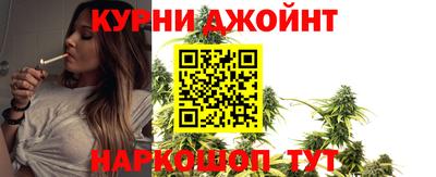 прущие грибы Заводоуковск