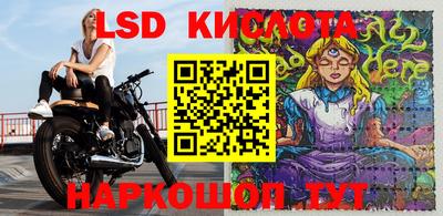 прущие грибы Заводоуковск