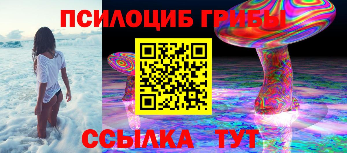 Меф Коммунар