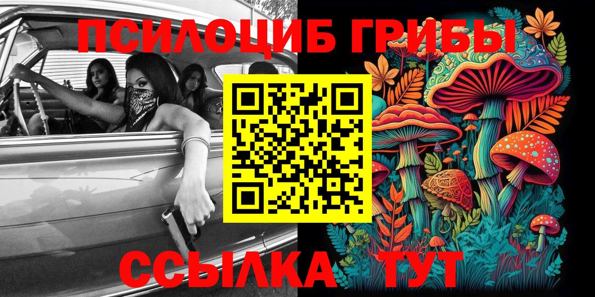 Псилоцибиновые грибы MAGIC MUSHROOMS Коммунар