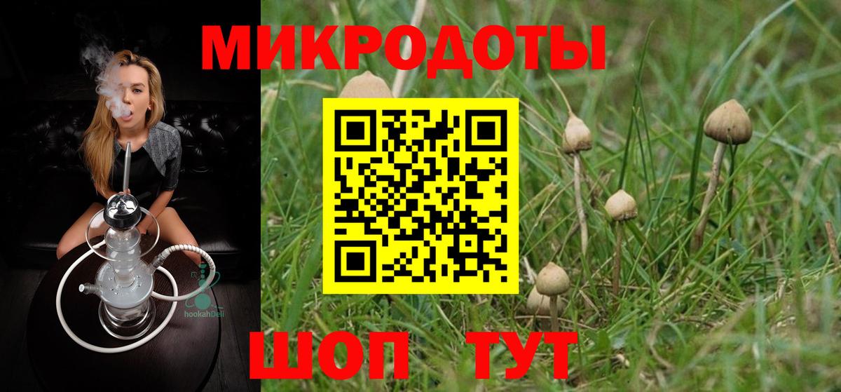 продажа наркотиков  Галлюциногенные грибы Psilocybe  Вход с VPN  Коммунар 