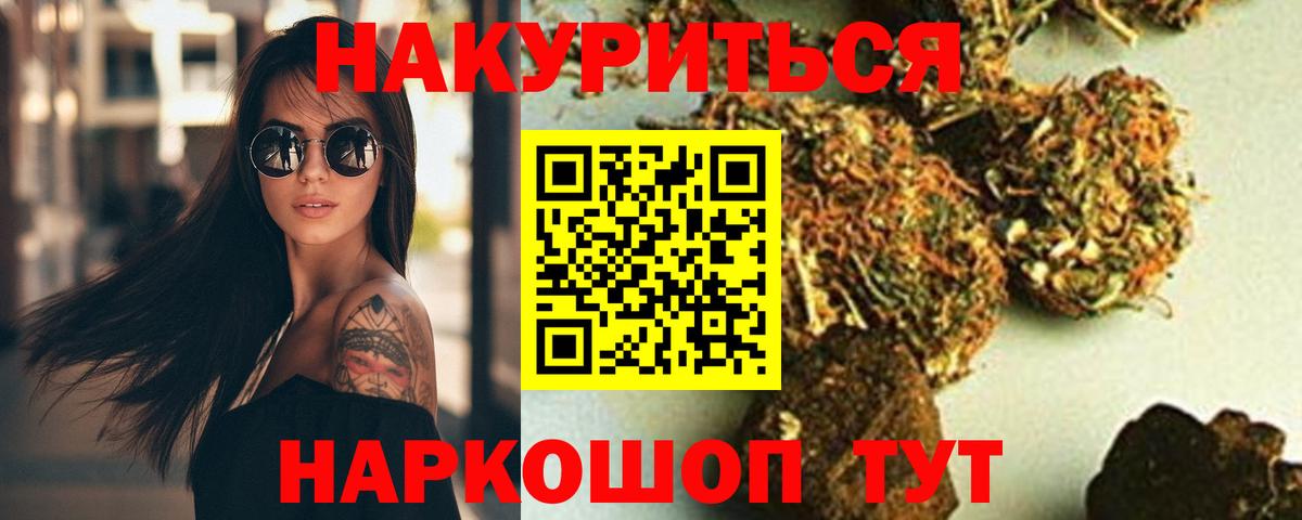 Каннабис планчик Коммунар
